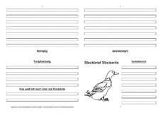 Stockente-Faltbuch-vierseitig-5.pdf